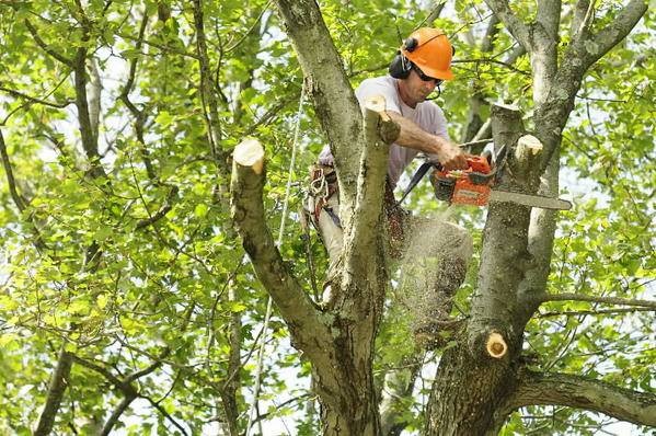 Image for JK Michiana Landscaping with ID of: 1394506
