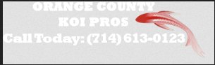 Image for Koi Pros with ID of: 1395167