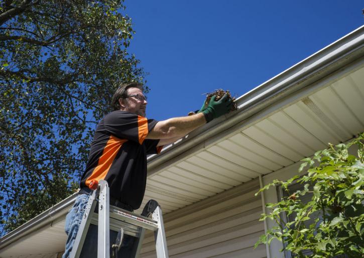 Image for Gutter Cleaning Johns Creek with ID of: 1395517