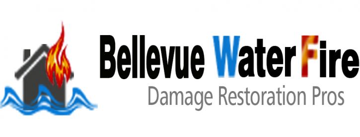 Image for Bellevue Water Fire Damage Pros with ID of: 1395572