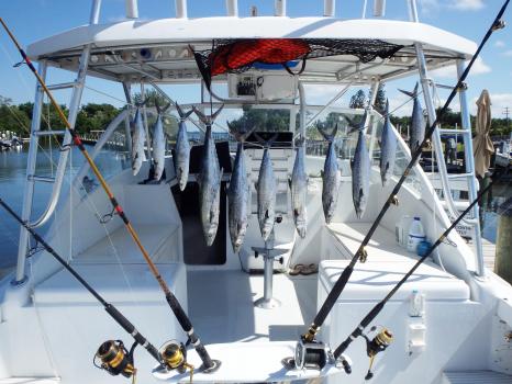 Image for Damn Yankee Fishing Charters with ID of: 1395633