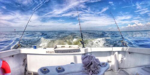 Image for Damn Yankee Fishing Charters with ID of: 1395635
