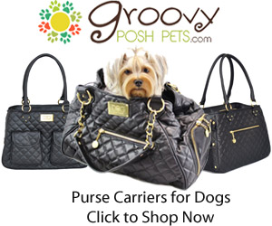 Image for Groovy Posh Pets: Get groovy pet products for stylish dogs & cats with ID of: 1396292