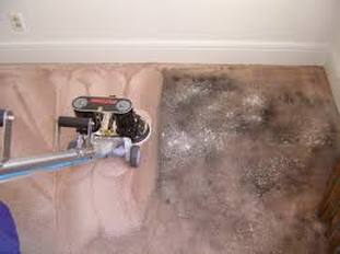 Image for Lubbock Carpet Cleaning Service with ID of: 1397084