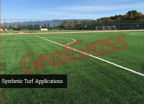 Image for GoalGrass with ID of: 1397968