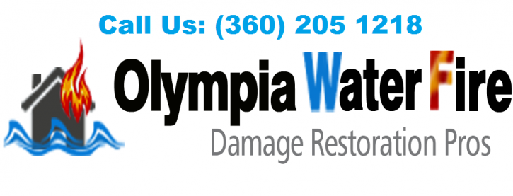 Image for Damage Restoration Services with ID of: 1398625
