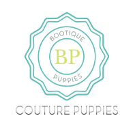 Image for Bootique Puppies with ID of: 1398999