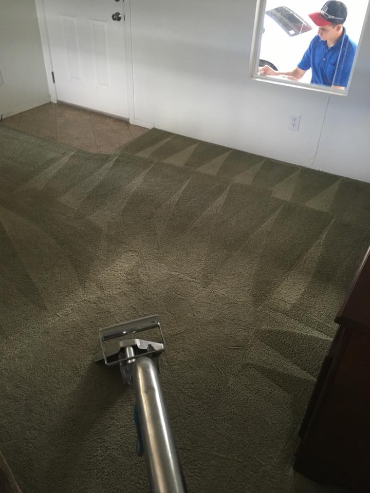 Image for Carpet and Window Solutions with ID of: 1399083