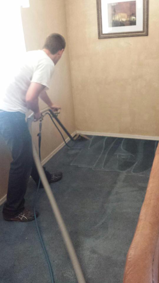 Image for Carpet and Window Solutions with ID of: 1399087