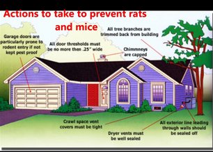 Image for Lubbock Pest Control with ID of: 1399426