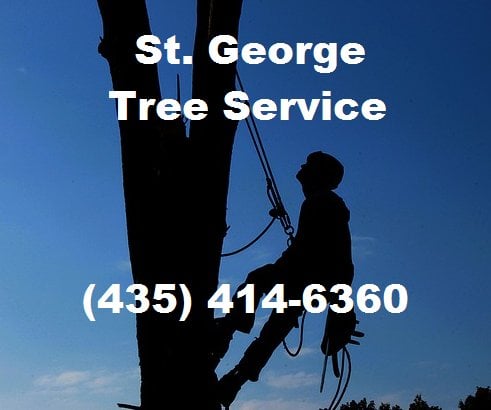 Image for St. George Tree Service with ID of: 1400181