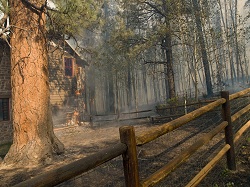 Image for A.B.C. Consulting Arborists LLC with ID of: 1400499