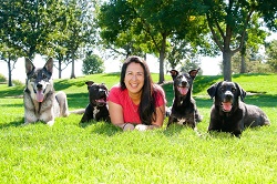 Image for Grace Dog Training & Behavior with ID of: 1400502