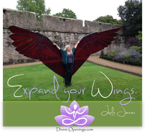Image for Divine Openings with ID of: 1400722