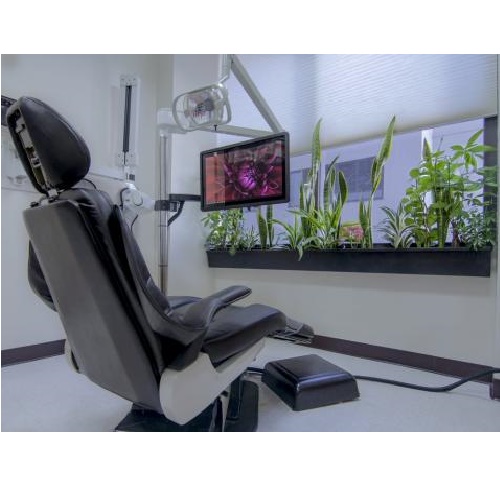 Image for LA Holistic Dentistry with ID of: 1402246