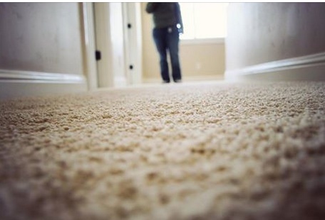 Image for Newark Carpet Cleaning Services with ID of: 1402548