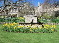 Image for Irvine's Best Landscaping, Design & Gardening with ID of: 1406640