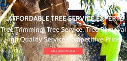 Image for Baltimore Tree Crew with ID of: 1407479