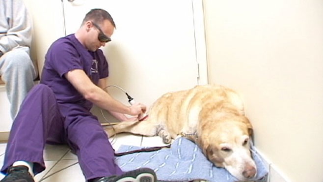 Image for Berthoud Animal Hospital with ID of: 1408964