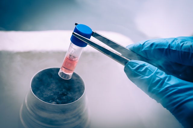 Image for NSI Stem Cell with ID of: 1410697