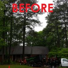 Image for Whispering Tree Service with ID of: 1411911