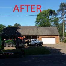 Image for Whispering Tree Service with ID of: 1411912