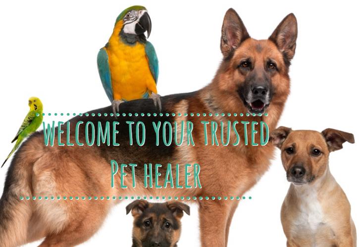 Image for Pet Healing Service with ID of: 1412707