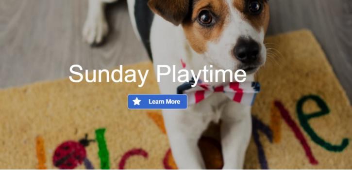 Image for Pet Recess Inc with ID of: 1413753