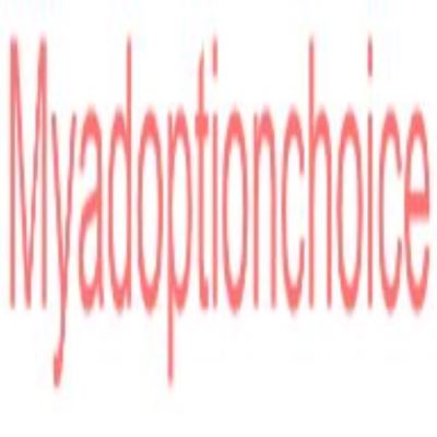Image for Allen Hultquist Adoption Law with ID of: 1414330