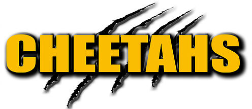 Image for Cheetahs Gentlemen's Club with ID of: 1415585