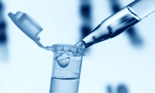 Image for Test Me DNA with ID of: 1415919