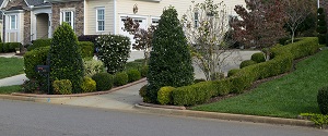 Image for Landscapers Moreno Valley with ID of: 1416177