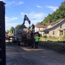 Image for Davis Tree & Stump Service with ID of: 1416961