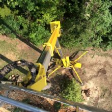 Image for Davis Tree & Stump Service with ID of: 1416962