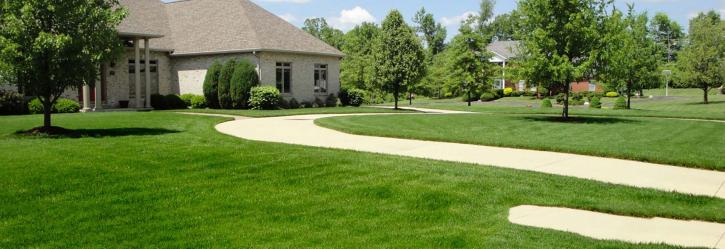 Image for Wenatchee Landscaping with ID of: 1417894