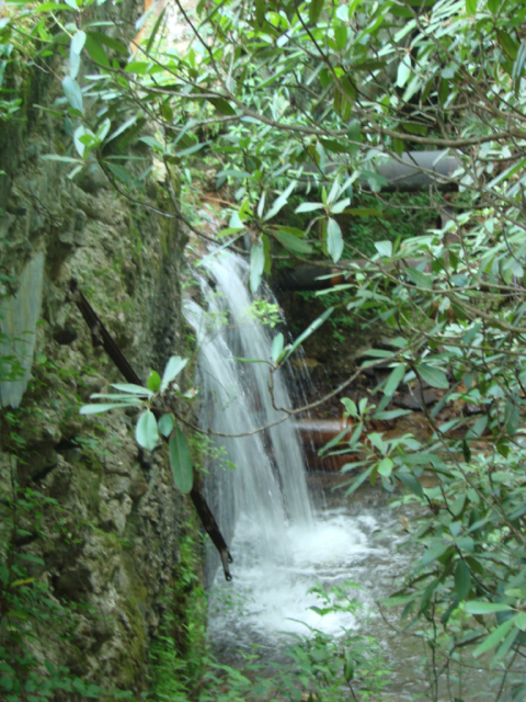 Image for 44+/- Acres Price Just Lowered in NC - Waterfalls, Mountain Views, Roaring Creeks with ID of: 141847