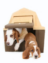 Image for Secure Pets LLC with ID of: 1419101
