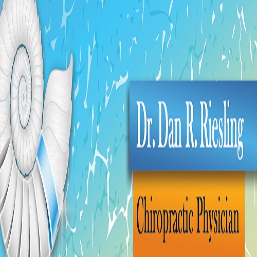 Image for Dr. Dan R. Riesling, D.C. with ID of: 1419395