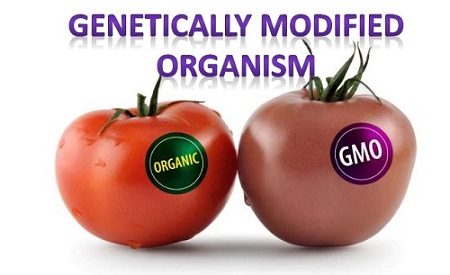 Image for Genetically Modified Organisms Market: Value Share, Supply Demand, share and Value Chain 2015-2020 with ID of: 1419976