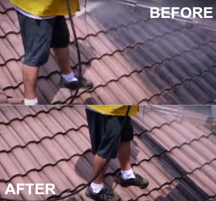 Image for Peachtree Pressure Washing with ID of: 1420276