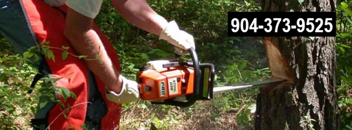 Image for Jacksonville Area Tree Removal with ID of: 1423812