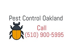 Image for Pest Control Oakland with ID of: 1424163