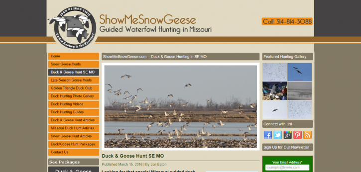 Image for showme snow geese with ID of: 1425177