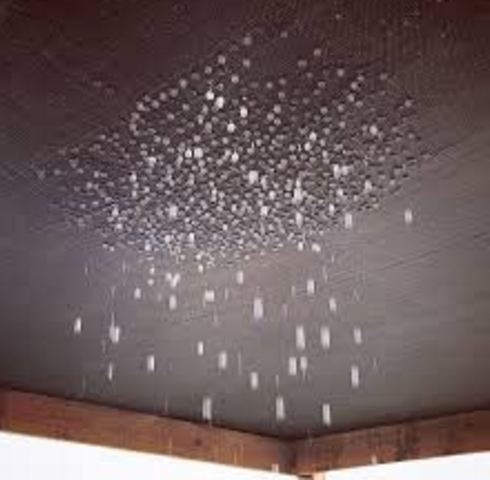 Image for Dallas Roofing Experts with ID of: 1425576