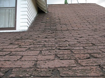 Image for Fort Worth Roofing Experts with ID of: 1425728