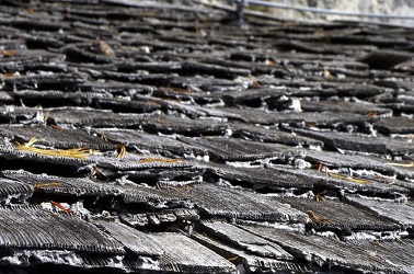 Image for Fort Worth Roofing Experts with ID of: 1425747