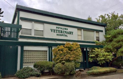 Image for Petaluma Veterinary Hospital with ID of: 1428648