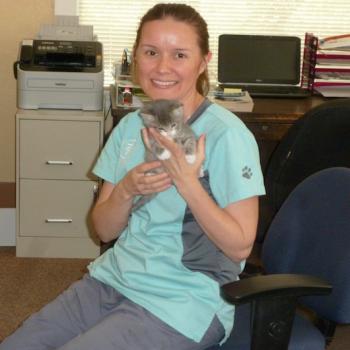 Image for Petaluma Veterinary Hospital with ID of: 1428654