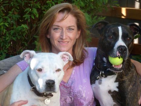 Image for Petaluma Veterinary Hospital with ID of: 1428655
