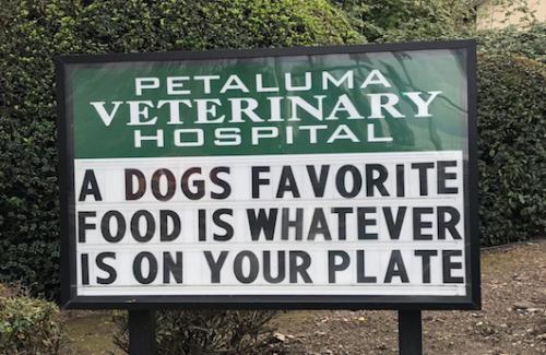 Image for Petaluma Veterinary Hospital with ID of: 1428656